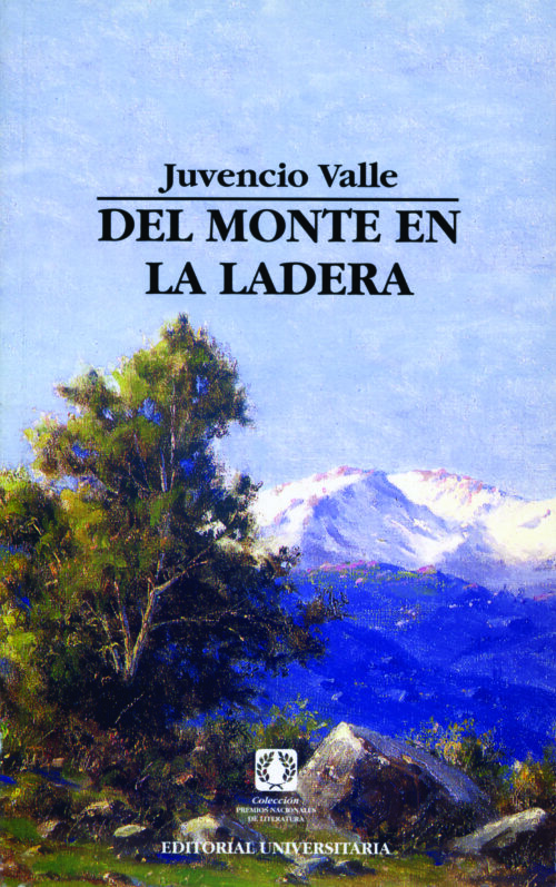 Del monte en la ladera (25)