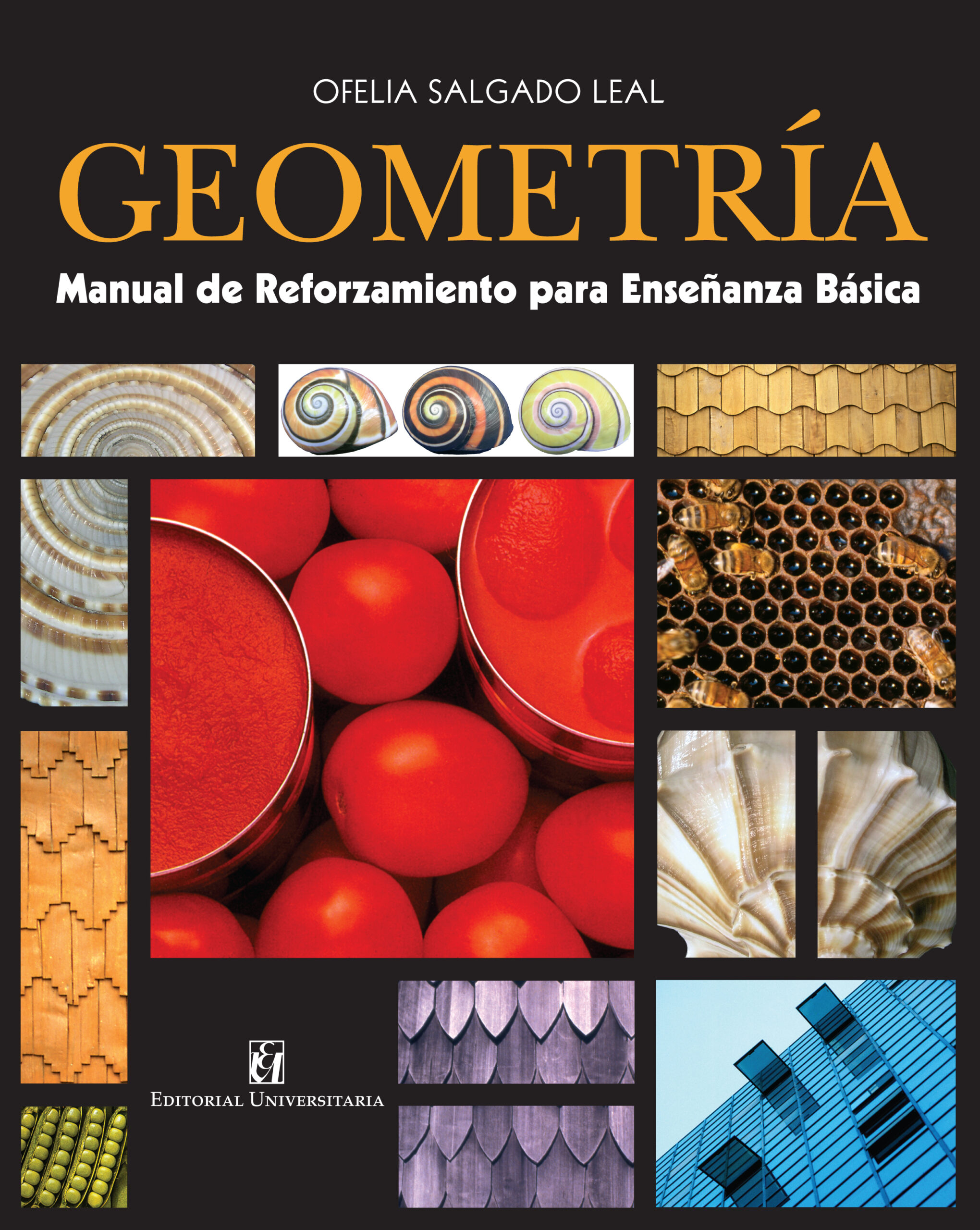 Geometría. Manual de reforzamiento para Enseñanza Básica