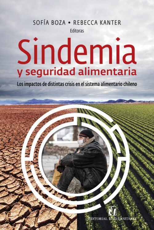 Sindemia y seguridad alimentaria. Los impactos de distintas crisis en el sistema alimentario chileno