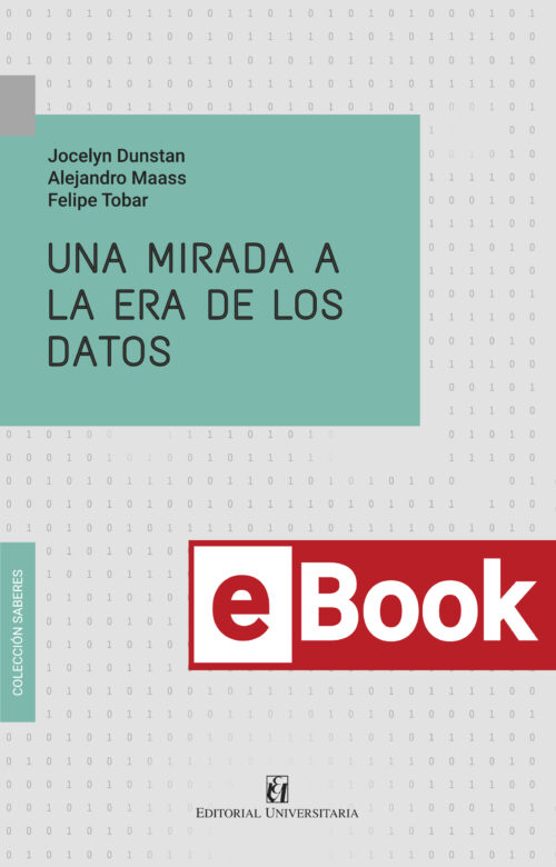 Una mirada a la era de los datos ebook