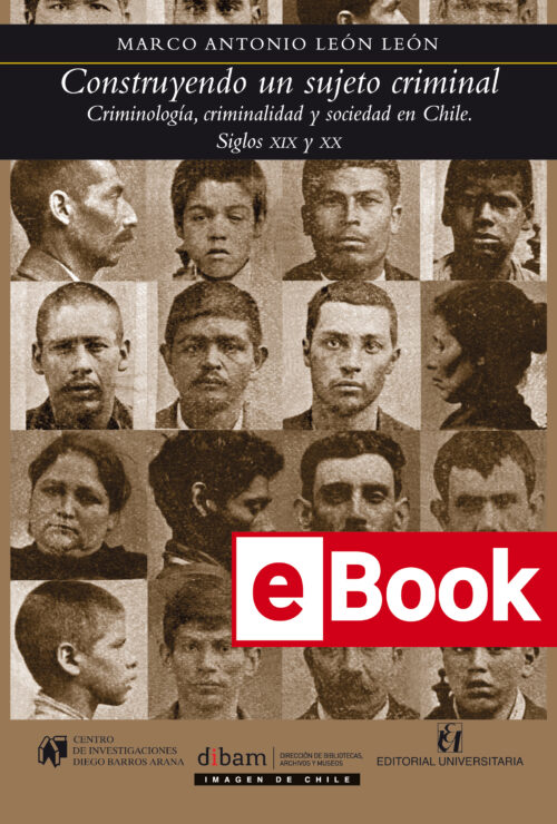 Construyendo al sujeto criminal ebook
