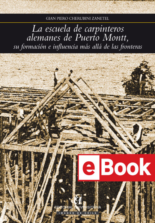 La escuela de carpinteros alemanes de Puerto Montt, su formación e influencia mas allá de las fronteras Ebook