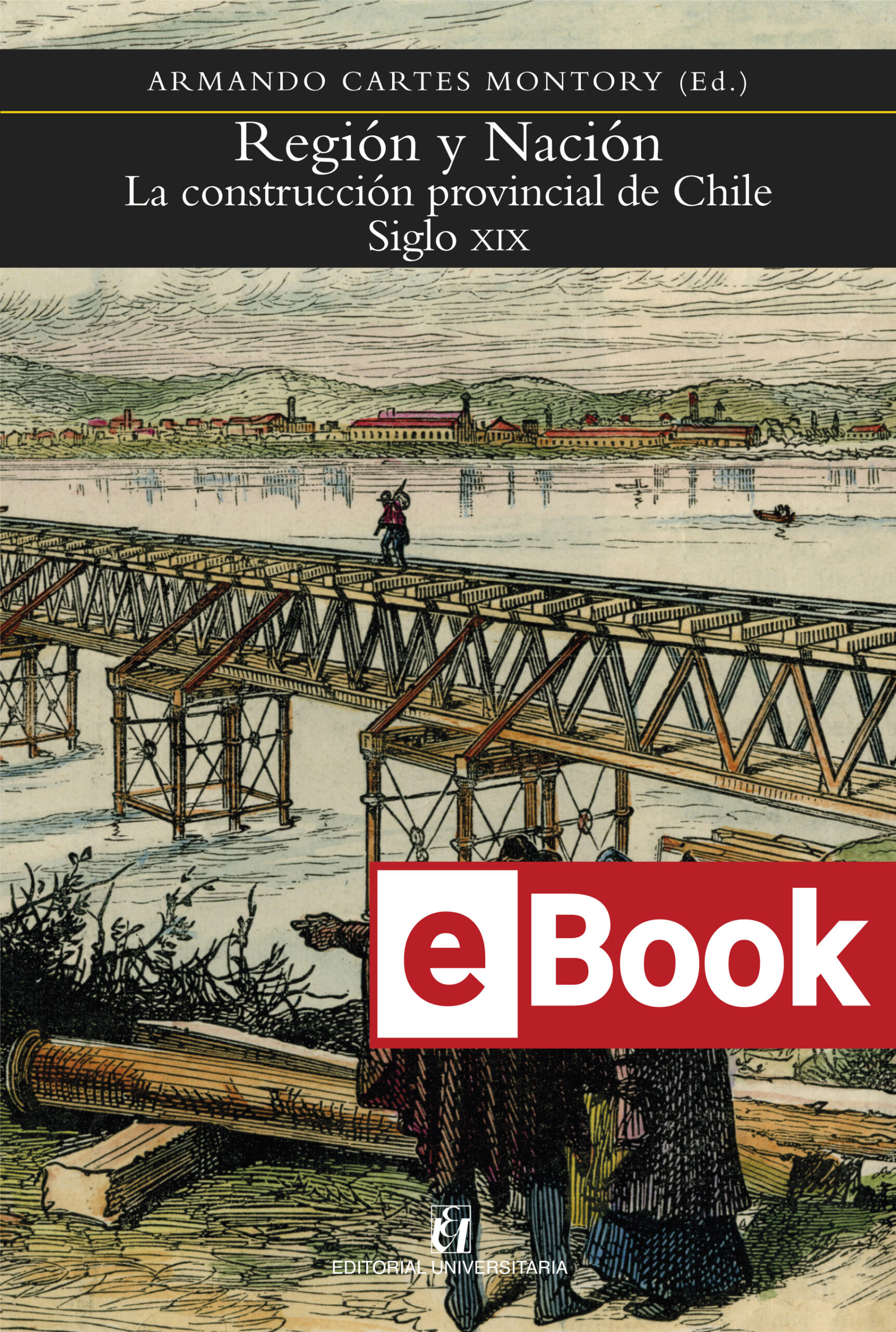 Región y Nación. La construcción provincial de Chile, Siglo XIX. Ebook