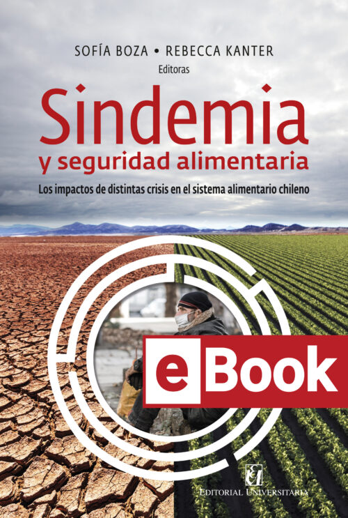 Sindemia y seguridad alimentaria. Los impactos de distintas crisis en el sistema alimentario chileno Ebook