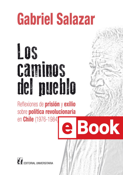 Los caminos del pueblo. Reflexiones de prisión y exilio sobre política revolucionaria en Chile (1976-1984). Ebook