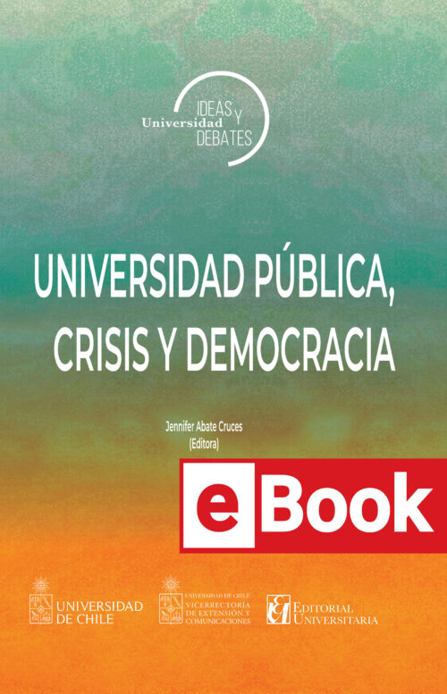 Universidad pública, crisis y democracia. Ebook