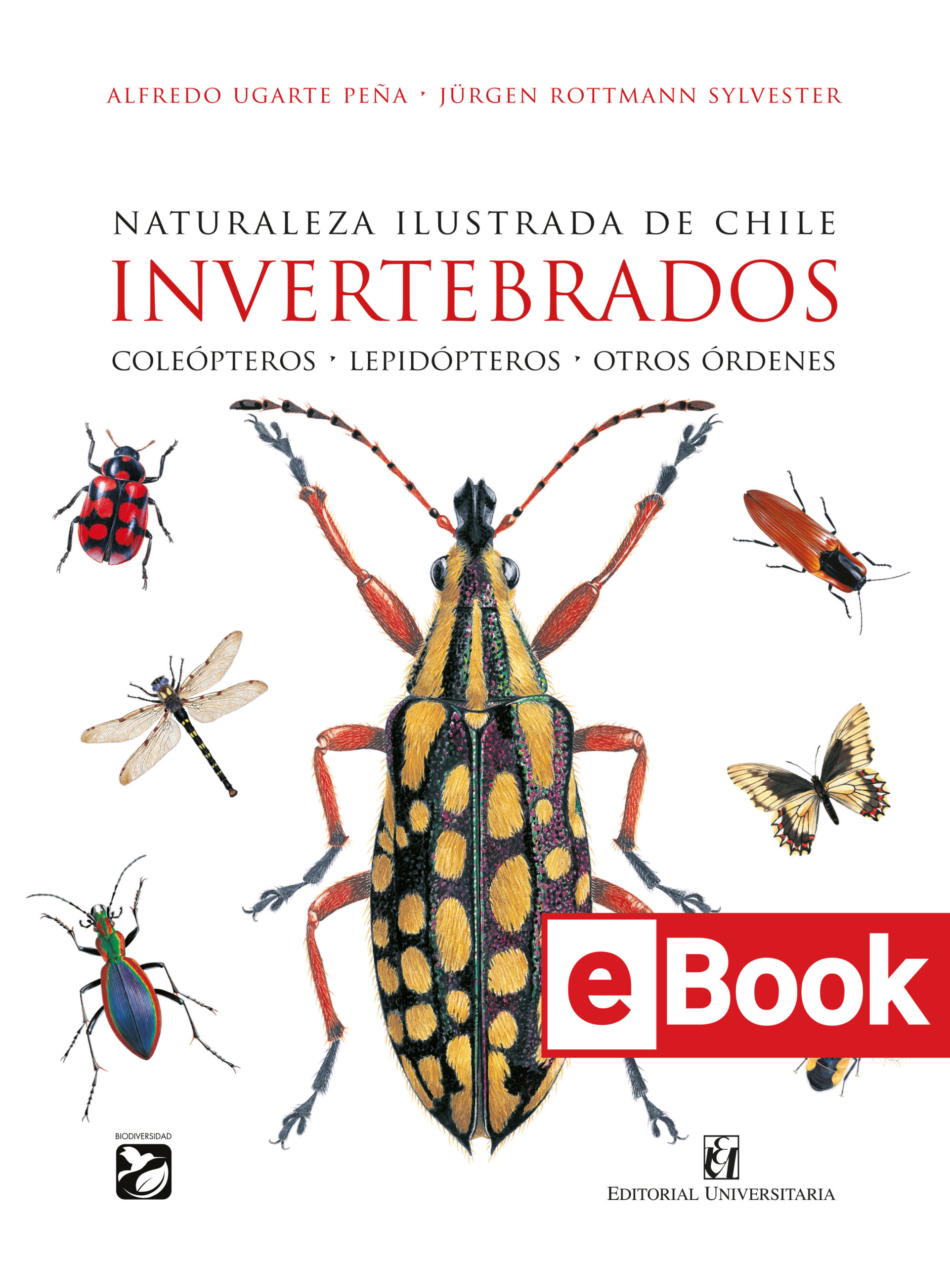 Naturaleza ilustrada de Chile. Invertebrados. Coleópteros - Lepidópteros - Otros órdenes. Ebook
