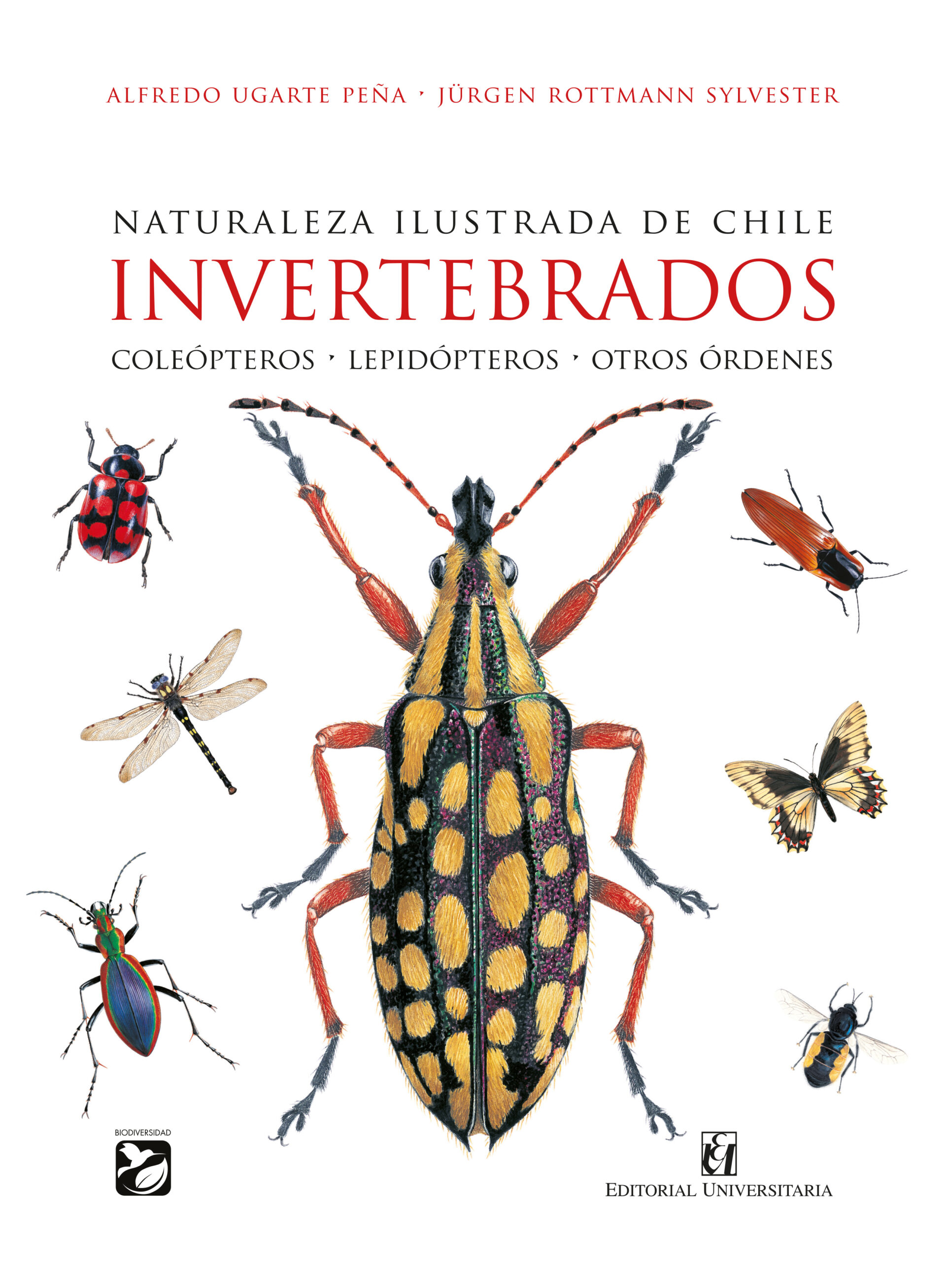 Naturaleza ilustrada de Chile. Invertebrados. Coleópteros - Lepidópteros - Otros órdenes